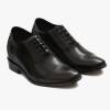 Maucci 34097